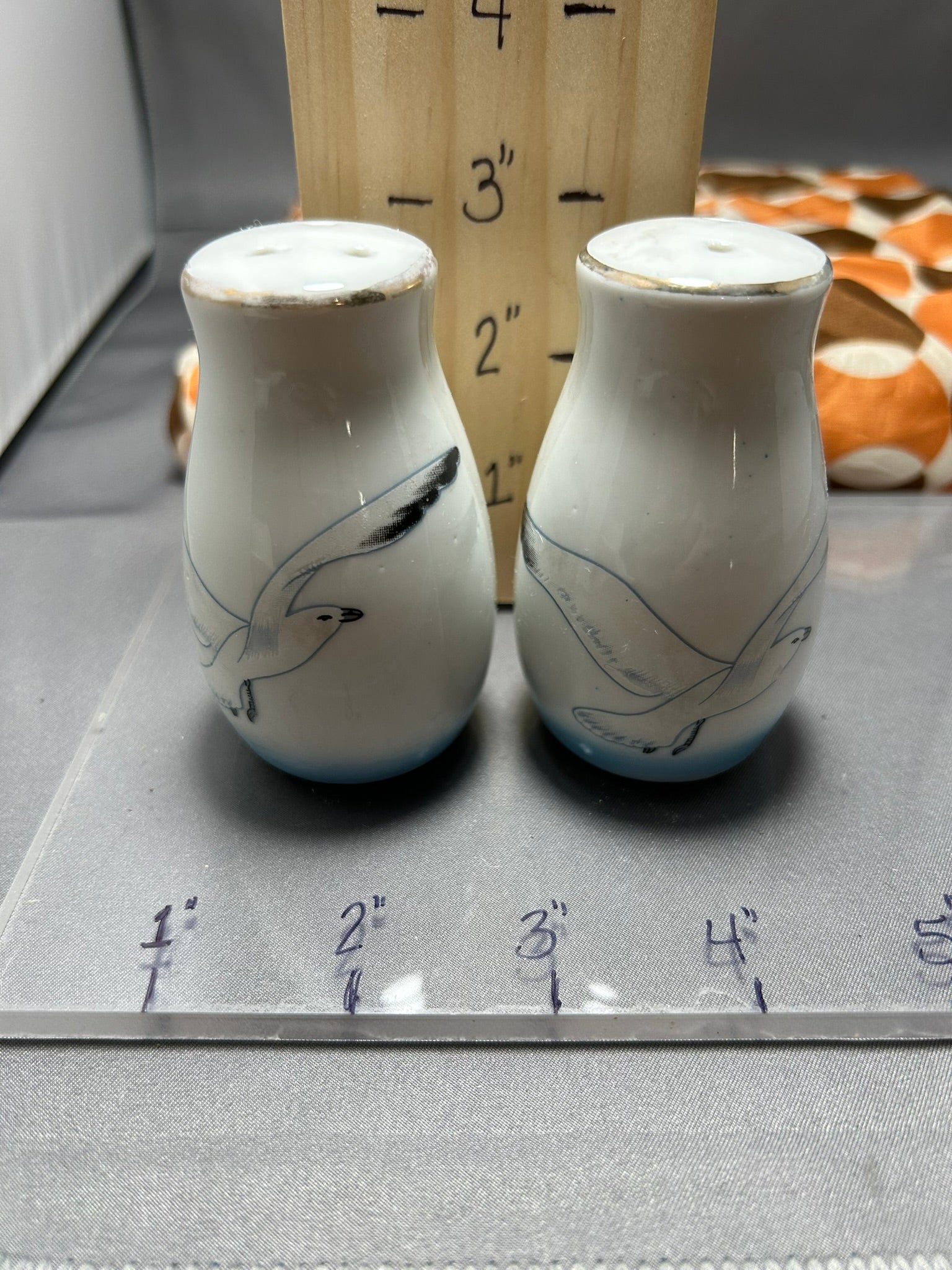Seagull S&P Set