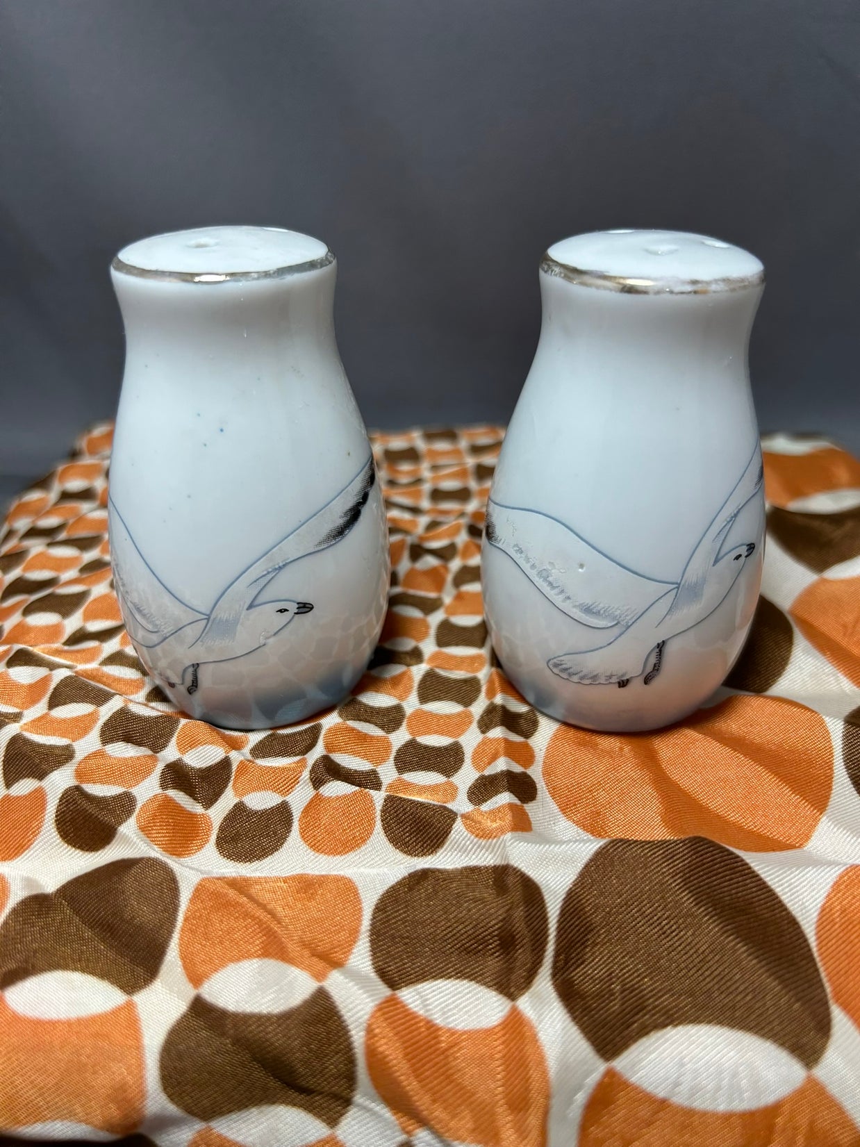 Seagull S&P Set