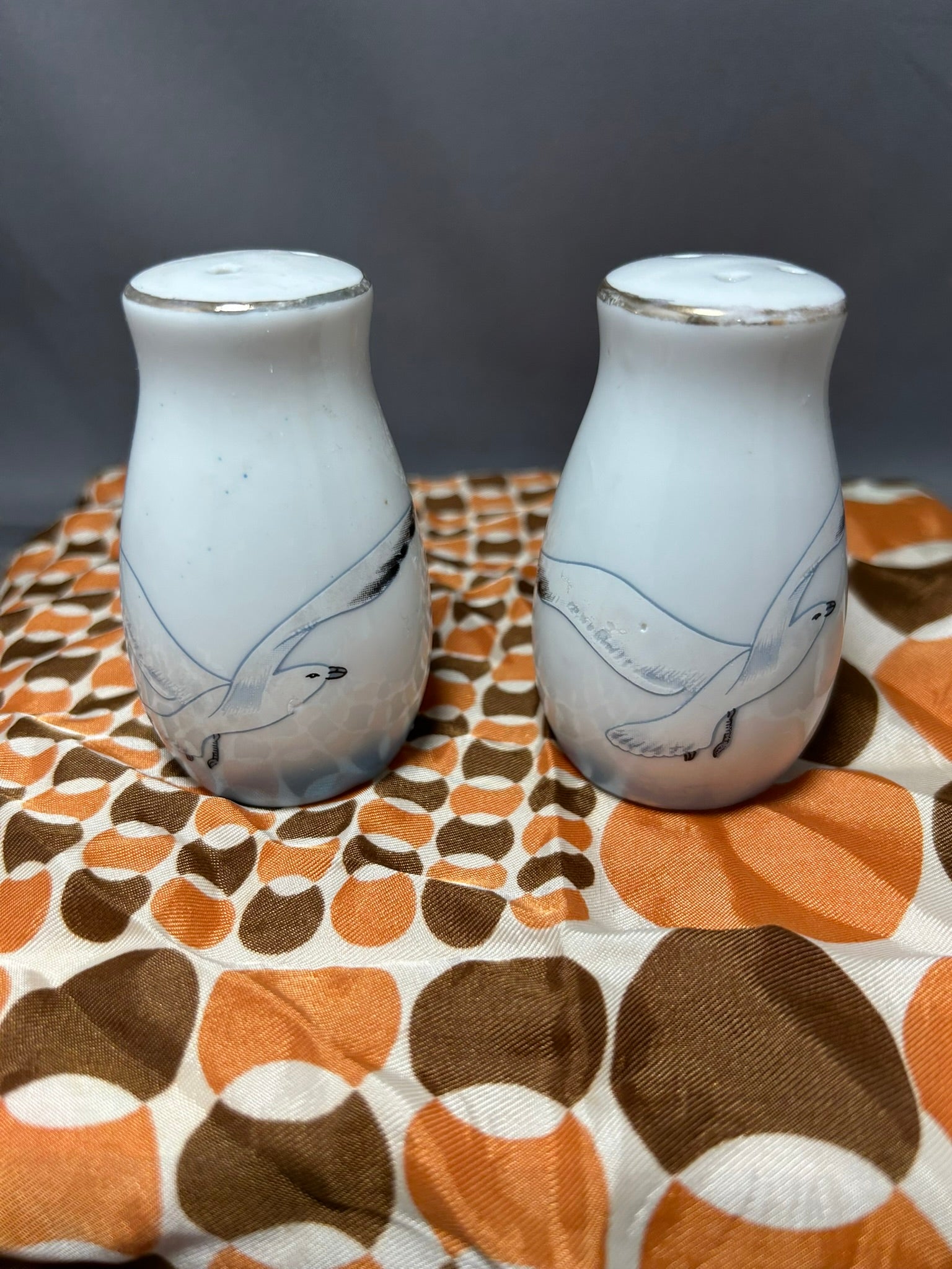 Seagull S&P Set