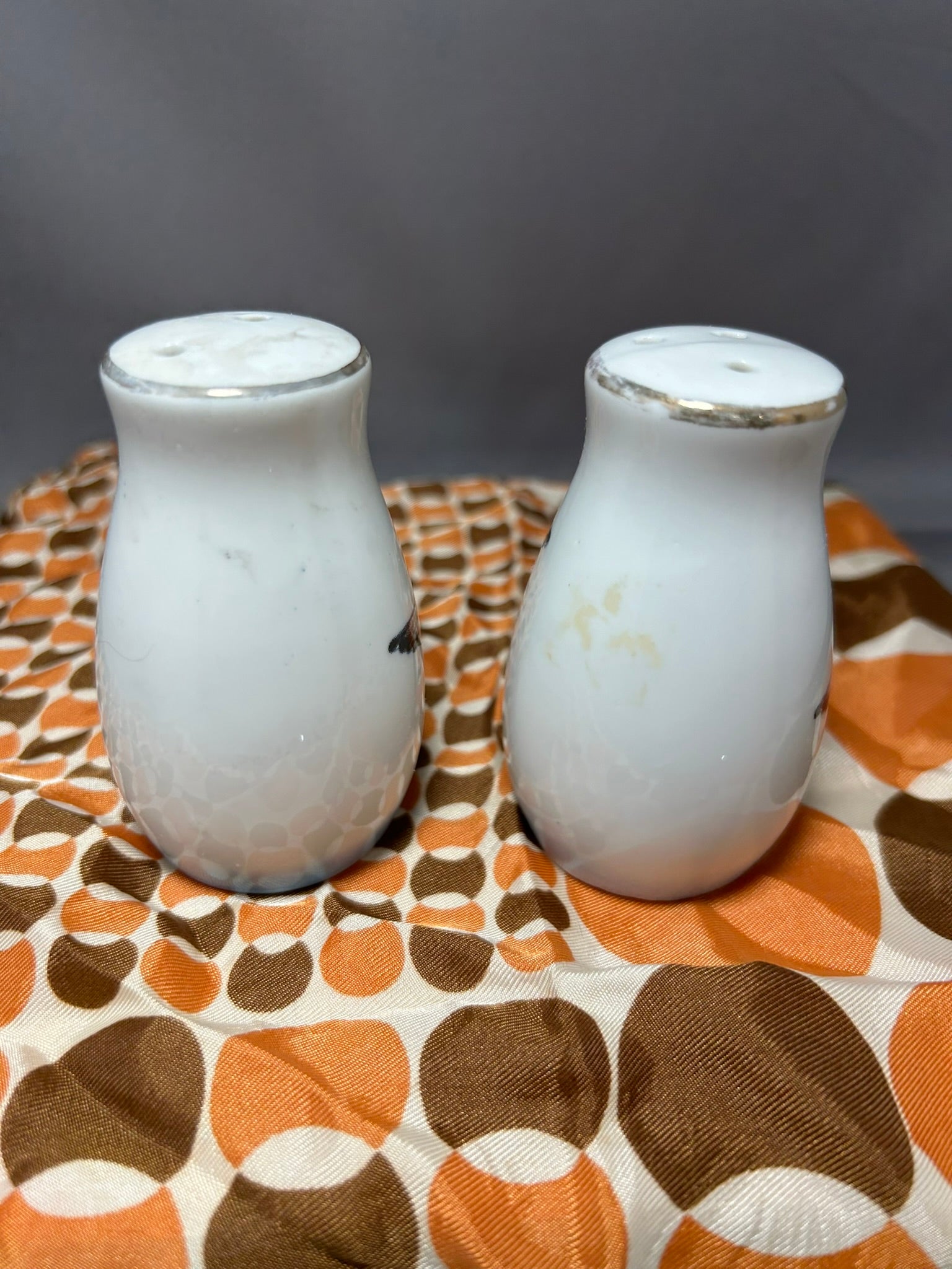 Seagull S&P Set